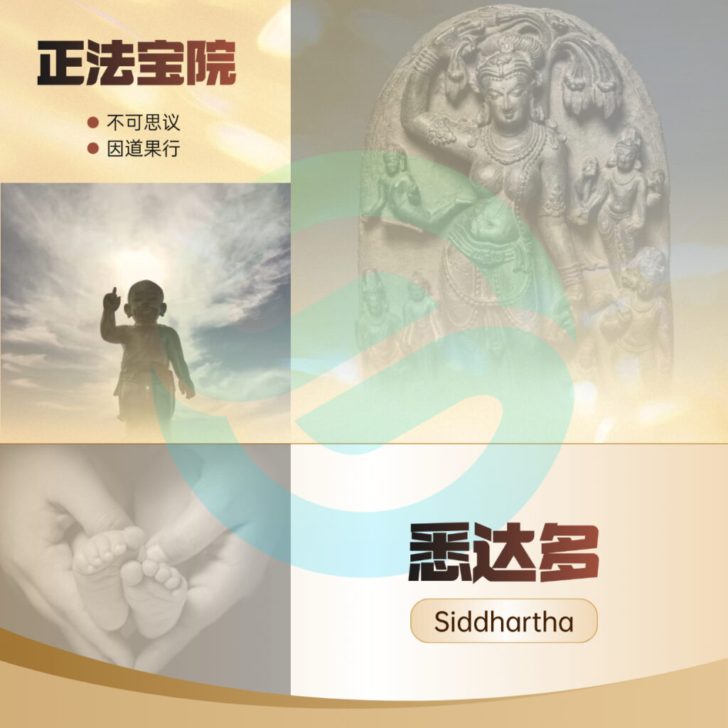 功德金 PureLand ☀︎ 3